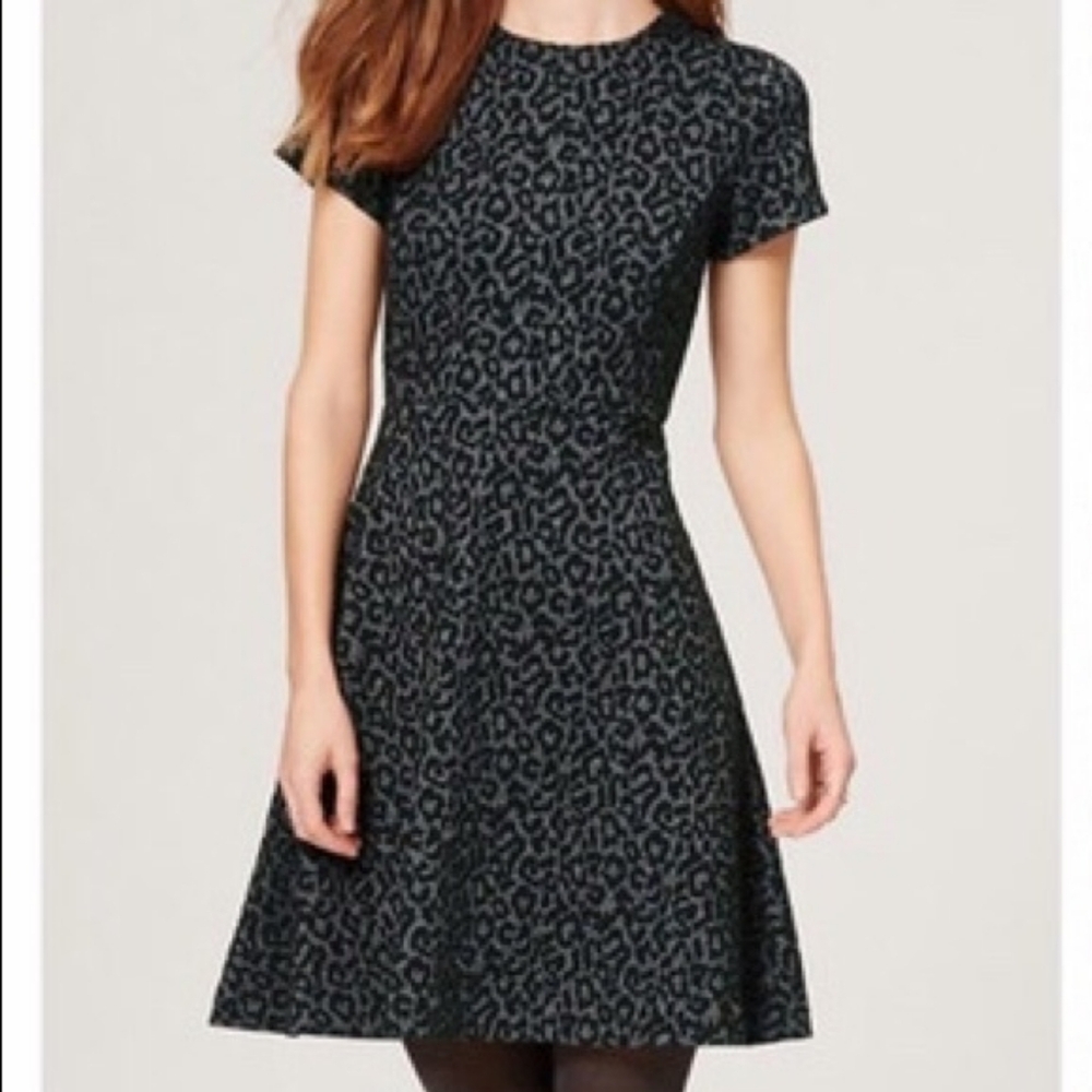 LOFT Leopard Skater Dress